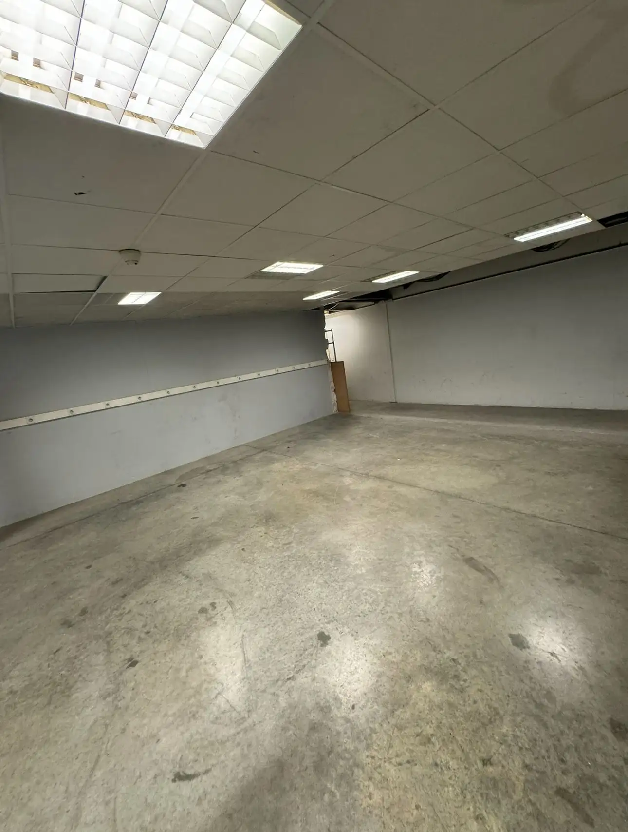 WhatsApp Image 2025-12-12 at 00.14.39_7af012c8